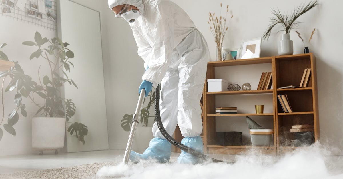 Common Myths About Residential Carpet Steam Cleaning Debunked