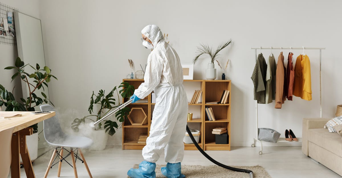 Comparing Dry Steam Cleaning to Traditional Methods