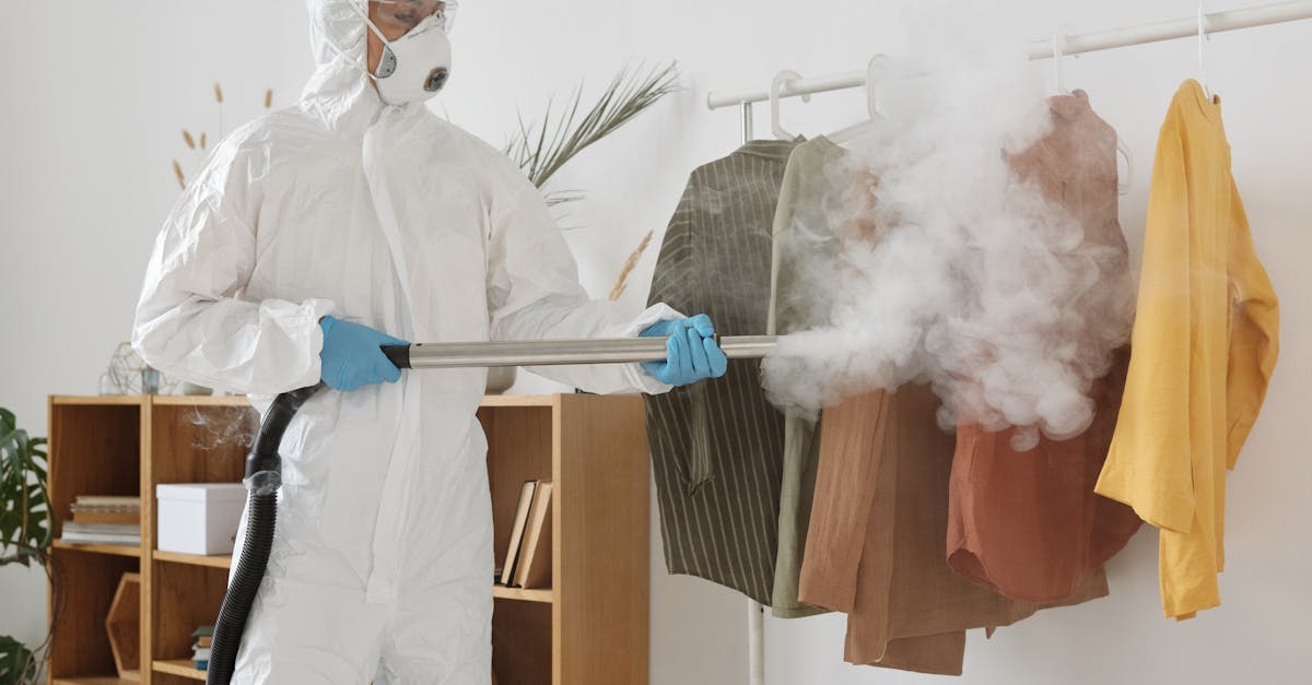 Cost Factors for Upholstery Steam Cleaning Services