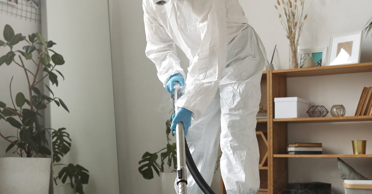 Evaluating the Results: Dry Steam Cleaning Before and After