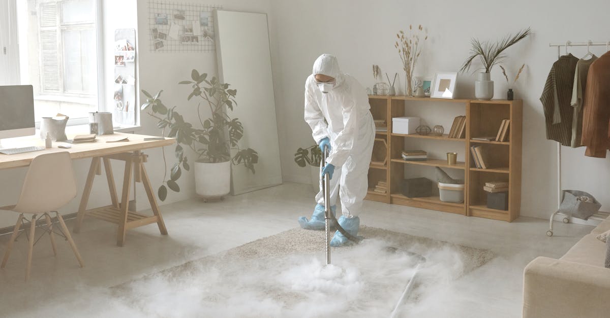How Often Should You Consider Upholstery Steam Cleaning