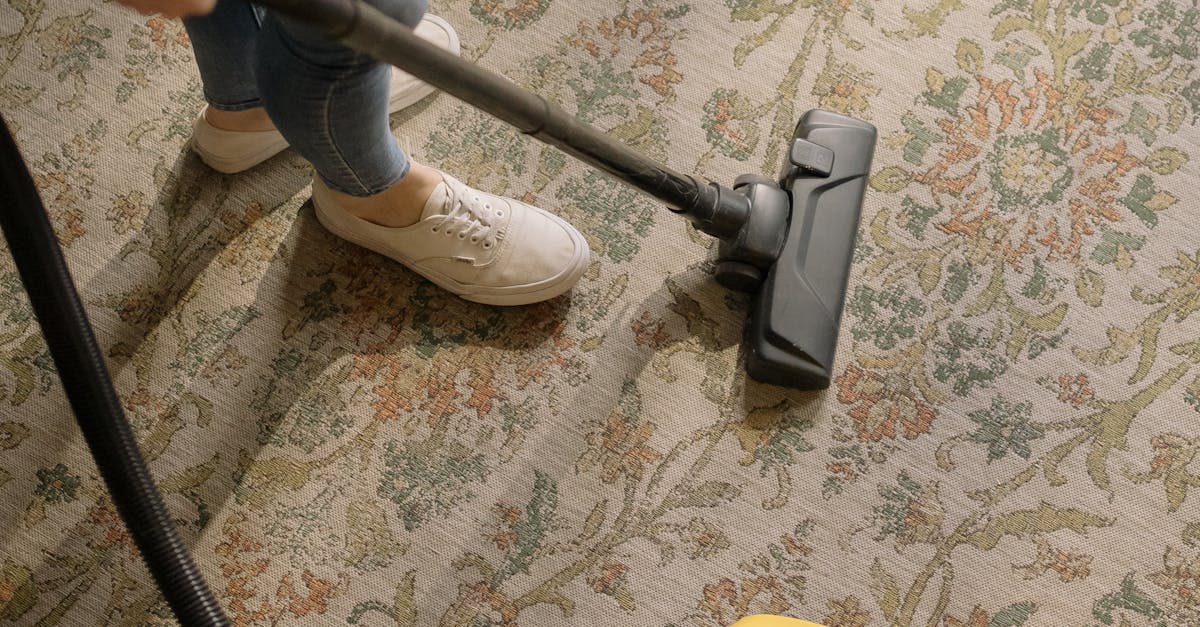 How to Ensure Your Bond is Returned with Proper Carpet Cleaning