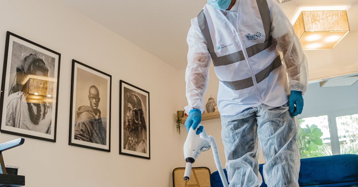 How to Maintain Your Carpets After Steam Cleaning