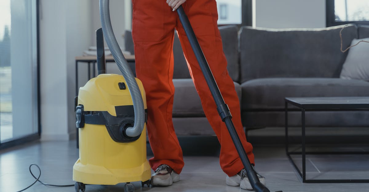 Rapid Response Carpet Cleaning Solutions in Brisbane