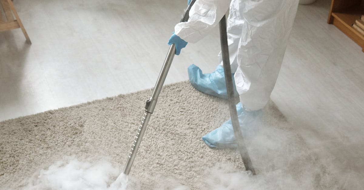 Sustainable Practices in Carpet Steam Cleaning for Brisbane Homes