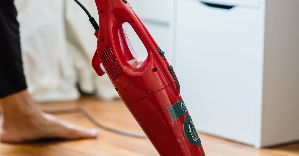 The Advantages of Professional Upholstery Steam Cleaning