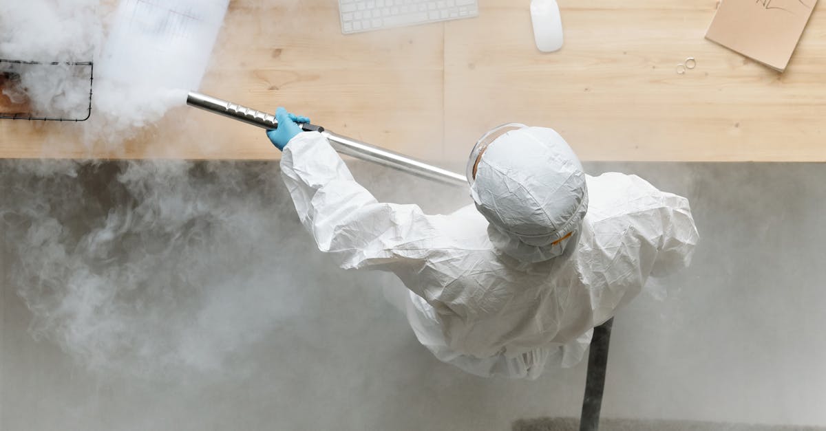 The Benefits of Regular Carpet Steam Cleaning for Allergy Sufferers