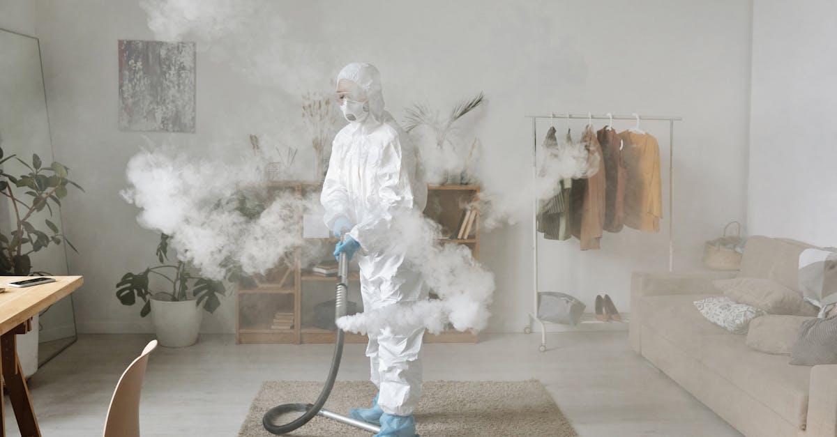 The Impact of Upholstery Steam Cleaning on Allergens