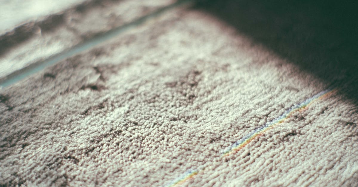 The Long-Term Cost Benefits of Regular Carpet Steam Cleaning