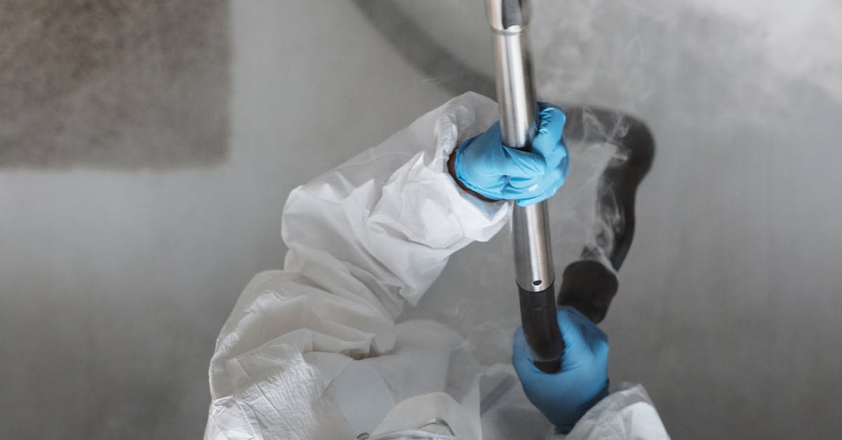 The Role of Biodegradable Detergents in Carpet Maintenance