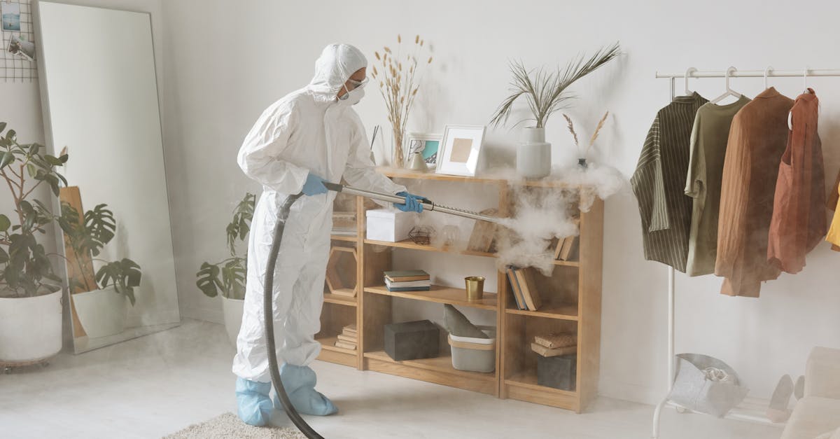 The Role of Carpet Steam Cleaning in Enhancing Corporate Image