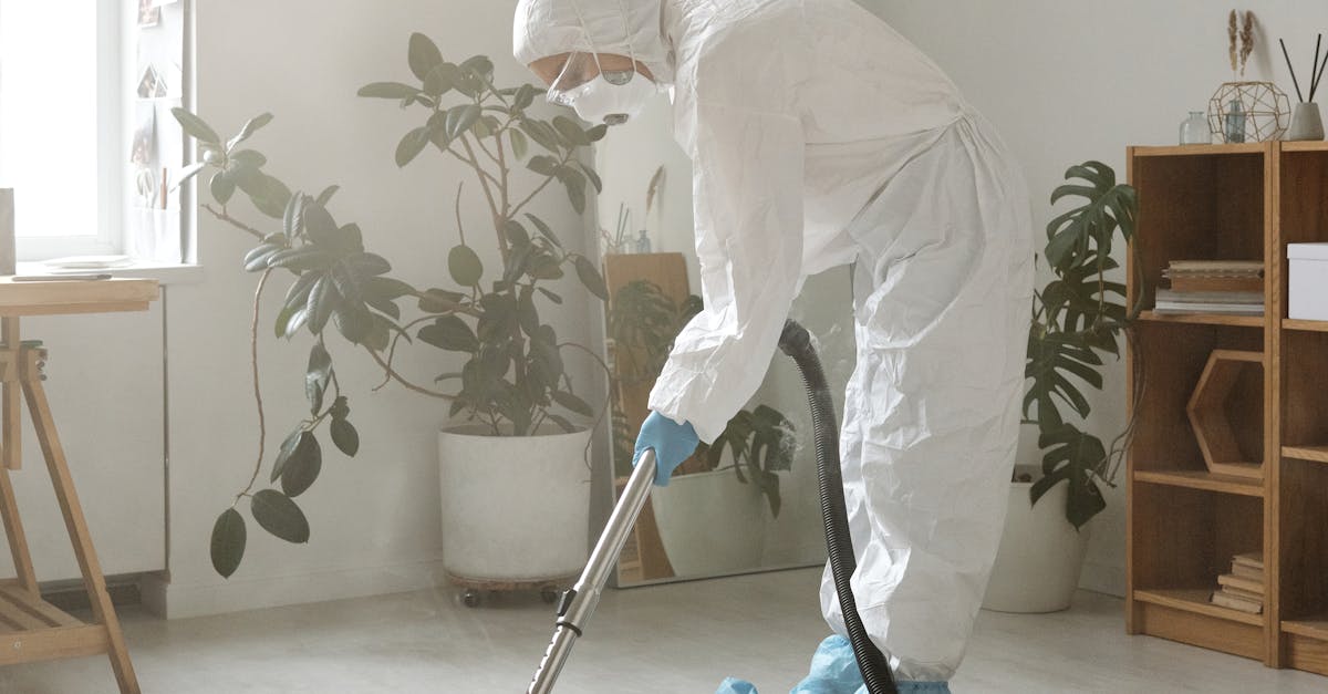 Tips for Preparing Your Home for Dry Steam Cleaning Services
