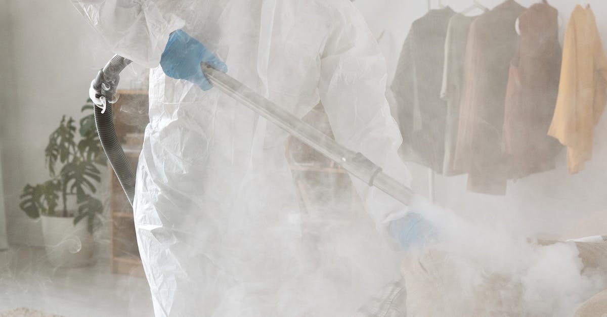 Tips for Protecting Your Carpets Following Steam Treatment