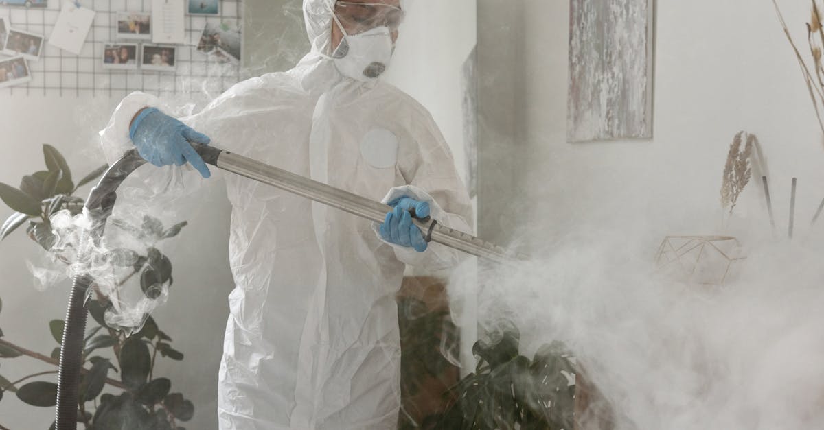 Understanding the Costs Involved in Commercial Carpet Steam Cleaning